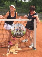 Die_Tenniskatze