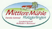 Logo MittlereM